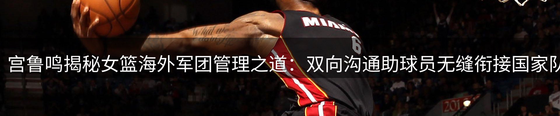 新闻动态