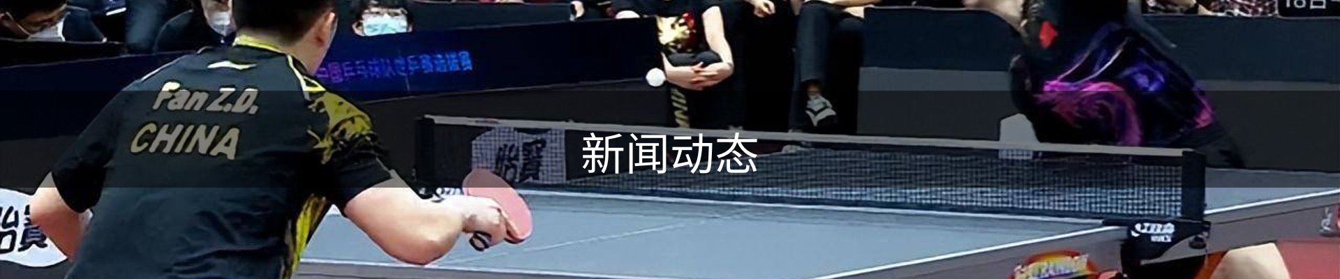 新闻动态